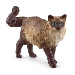Chat Ragdoll