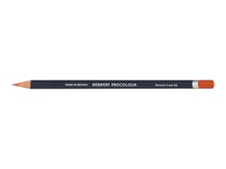 Crayon de couleur Derwent - Procolour - feuille d'automne