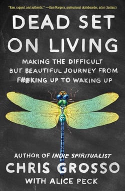 Dead Set on Living - Making the Difficult but Beautiful Journey from F#*king Up to Waking Up