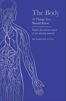 The Body - 10 Things You Should Know