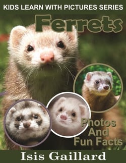 Ferrets Photos and Fun Facts for Kids - Kids Learn With Pictures, #46