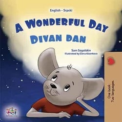 A Wonderful Day Divan dan - English Serbian Bilingual Collection