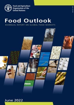 Food Outlook – Biannual Report on Global Food Markets: June 2022
