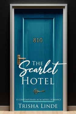 Room 810 - The Scarlet Hotel, #9