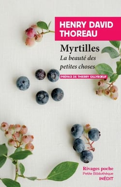 Myrtilles - La beauté des petites choses