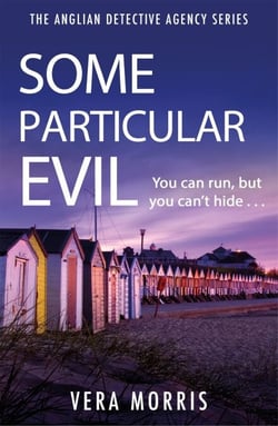 Some Particular Evil - The Anglian Detective Agency Series