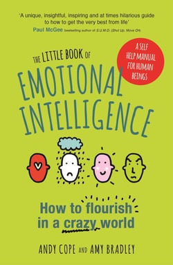 The Little Book of Emotional Intelligence - How to Flourish in a Crazy World