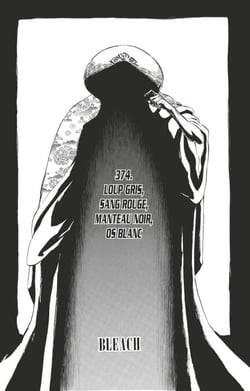 Bleach - T43 - Chapitre 374 - LOUP GRIS, SANG ROUGE, MANTEAU NOIR, OS BLANC
