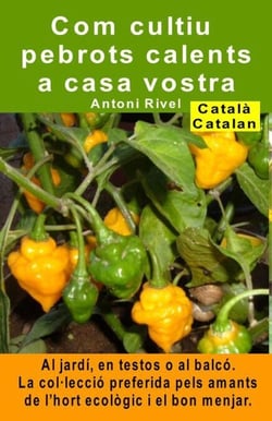 Com cultiu pebrots calents a casa vostra. Al jardí, en testos o al balcó
