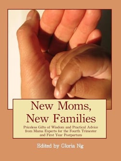 New Moms, New Families: Priceless Gifts of Wisdom and Practical Advice from Mama Experts for the Fourth Trimester and First Year Postpartum - New Moms, New Families, #1
