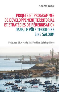 Projets et programmes de développement territorial et stratégies de pérennisation - dans le pôle territoire Sine Saloum