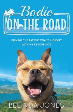 Bodie on the Road - Driving the Pacific Coast Highway with My Rescue Dog