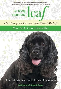 Dog Named Leaf - The Hero from Heaven Who Saved My Life (New York Times Best Seller)