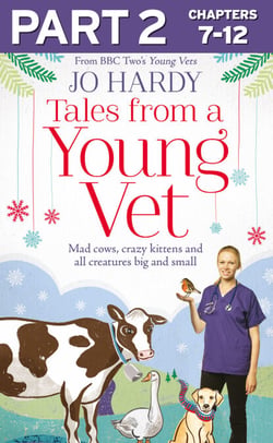 Tales from a Young Vet: Part 2 of 3 - Mad cows, crazy kittens, and all creatures big and small