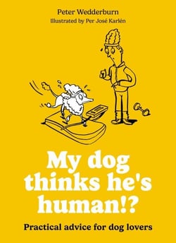 My dog thinks he's human!? - Practical advice for dog lovers