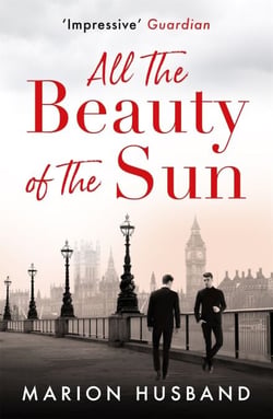 All the Beauty of the Sun - The Boy I Love: Book Two