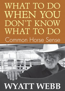 What To Do When You Don't Know What To Do - Common Horse Sense