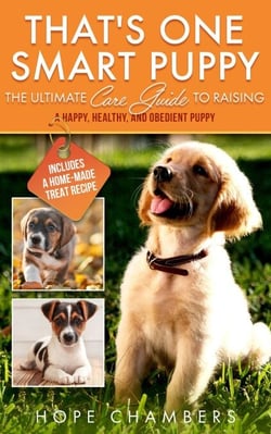 That's One Smart Puppy - From Smart Puppy to Wise Old Dog, #1