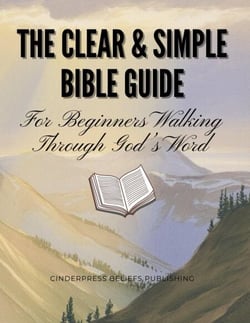 The Clear &amp; Simple Bible Guide: For Beginners Walking Through God’s Word