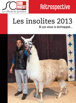 Les insolites de l'année 2013 - Si ça vous a échappé...