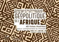 Géopolitique de l'Afrique - 40 fiches illustrées pour comprendre le monde/collection dirigée par pascal boniface
