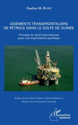 Gisements transfrontaliers de pétrole dans le golfe de Guinée - Principe du droit international pour une exploitation pacifique