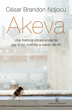 Akeva - Una historia intranscendente por si no vuelves a saber de mí