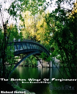The broken wings of forgiveness - Seven beacons of hope