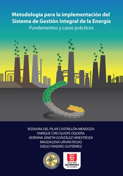 Metodología para la implementación del sistema de gestión integral de la energía - Fundamentos y casos prácticos