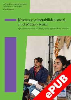 Jóvenes y vulnerabilidad social en el México actual - Aproximaciones desde lo laboral, sexual-reproductivo y educativo