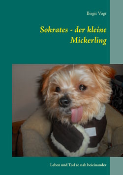 Sokrates - der kleine Mickerling - Leben und Tod so nah beieinander