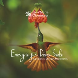 Energie für Deine Seele - Inspirationen. Übungen. Meditationen.