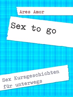Sex to go - Sex Kurzgeschichten für unterwegs
