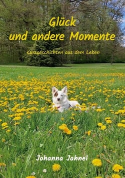 Glück und andere Momente - Kurzgeschichten aus dem Leben