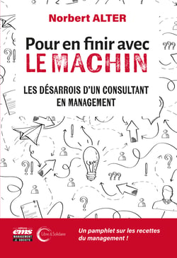 Pour en finir avec le Machin - Les désarrois d'un consultant en management