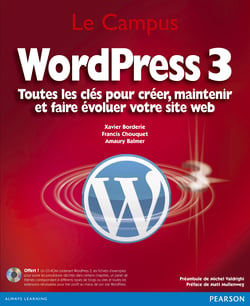 WordPress 3 - Toutes les clés pour créer, maintenir et faire évoluer votre site web