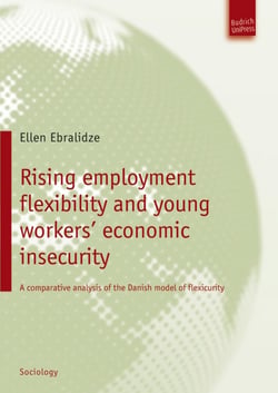 Rising employment flexibility and young workers' economic insecurity - A comparative analysis of the Danish model of flexicurity