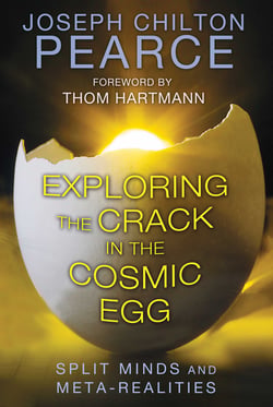 Exploring the Crack in the Cosmic Egg - Split Minds and Meta-Realities