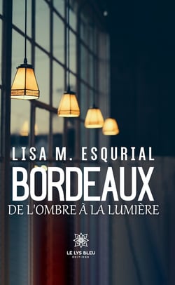 Bordeaux - De l’ombre à la lumière