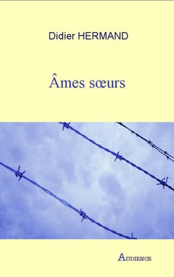 Âmes sœurs - Un roman poignant