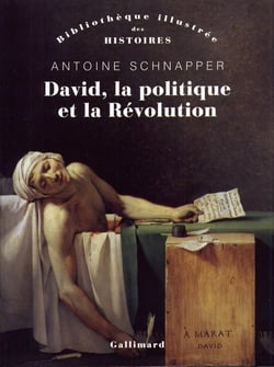 David, la politique et la révolution