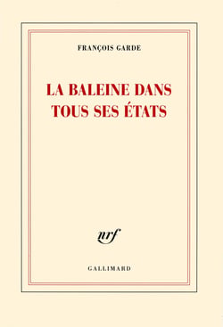 La baleine dans tous ses états