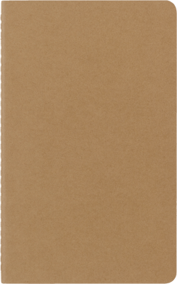 Lot de 3 cahiers Moleskine - 13x21cm - 80 pages - Couverture souple en carton