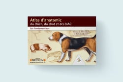 Vademecum : atlas d'anatomie du chien, du chat et des NAC - les fondamentaux