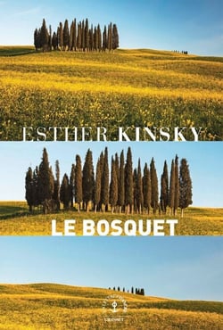 Le bosquet - roman