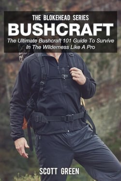 Bushcraft: The Ultimate Bushcraft 101 Guide  To Survive In The Wilderness Like A Pro - The Blokehead Success Series