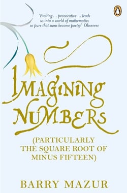 Imagining Numbers - (Particularly the Square Root of Minus Fifteen)
