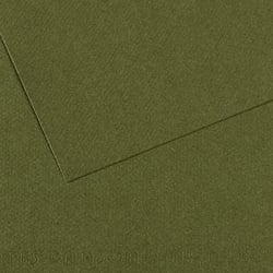 Feuille MI-TEINTES® Canson - 50 x 65 cm - 160g/m² - vert océan