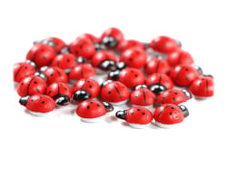 50 coccinelles en bois peint 1 cm - rouge - Créalia