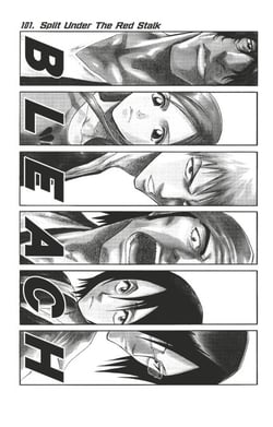 Bleach - T12 - Chapitre 101 - Split Under The Red Stalk